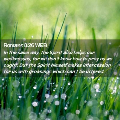 Picture 02 - Romans 8:26 WEB - In the same way, the Spirit also helps our - Bible Verse Picture