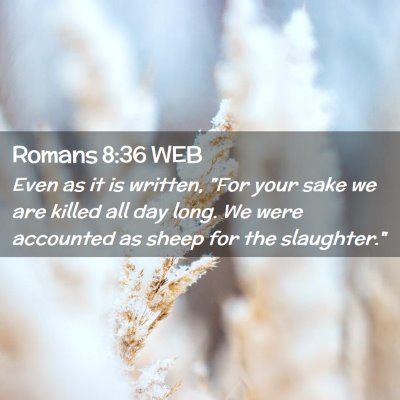 Picture 02 - Romans 8:36 WEB - Even as it is written, 