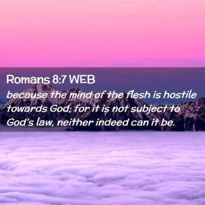 Picture 02 - Romans 8:7 WEB - because the mind of the flesh is hostile towards - Bible Verse Picture