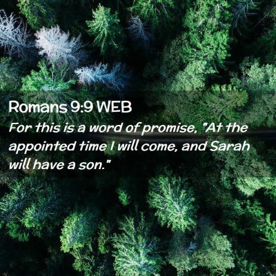 Picture 02 - Romans 9:9 WEB - For this is a word of promise, 