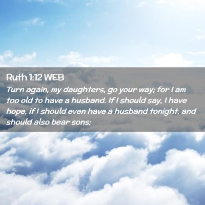 Picture 02 - Ruth 1:12 WEB - Turn again, my daughters, go your way; for I am - Bible Verse Picture