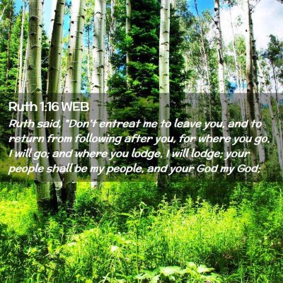 Picture 02 - Ruth 1:16 WEB - Ruth said, 