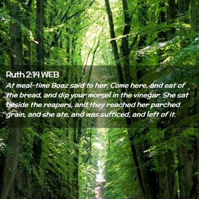 Picture 02 - Ruth 2:14 WEB - At meal-time Boaz said to her, Come here, and eat - Bible Verse Picture