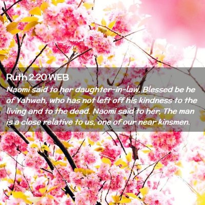 Picture 02 - Ruth 2:20 WEB - Naomi said to her daughter-in-law, Blessed be he - Bible Verse Picture