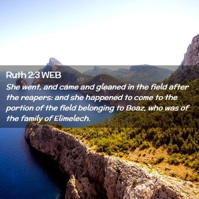 Picture 02 - Ruth 2:3 WEB - She went, and came and gleaned in the field after - Bible Verse Picture