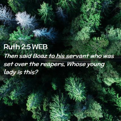 Picture 02 - Ruth 2:5 WEB - Then said Boaz to his servant who was set over - Bible Verse Picture