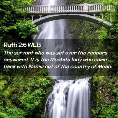 Picture 02 - Ruth 2:6 WEB - The servant who was set over the reapers - Bible Verse Picture