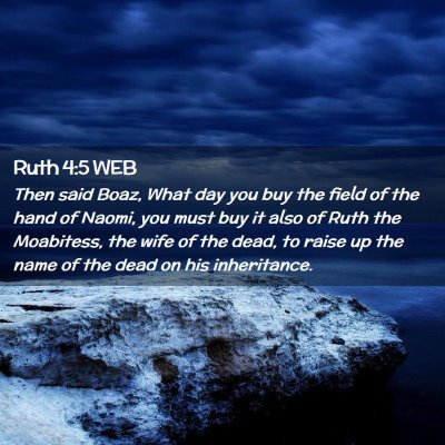 Picture 02 - Ruth 4:5 WEB - Then said Boaz, What day you buy the field of the - Bible Verse Picture