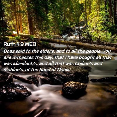 Picture 02 - Ruth 4:9 WEB - Boaz said to the elders, and to all the people, - Bible Verse Picture