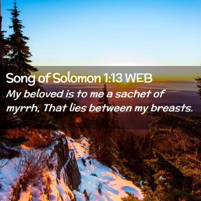 Picture 02 - Song of Solomon 1:13 WEB - My beloved is to me a sachet of myrrh, That lies - Bible Verse Picture