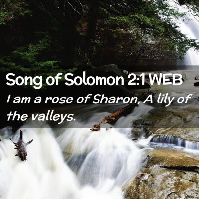 Picture 02 - Song of Solomon 2:1 WEB - I am a rose of Sharon, A lily of the - Bible Verse Picture