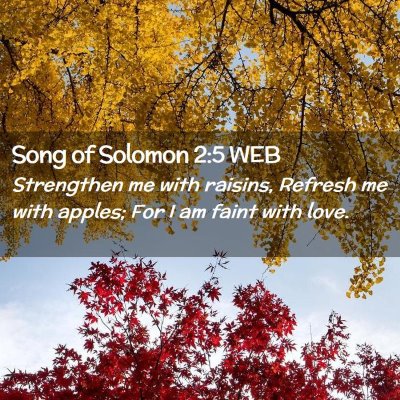 Picture 02 - Song of Solomon 2:5 WEB - Strengthen me with raisins, Refresh me with - Bible Verse Picture