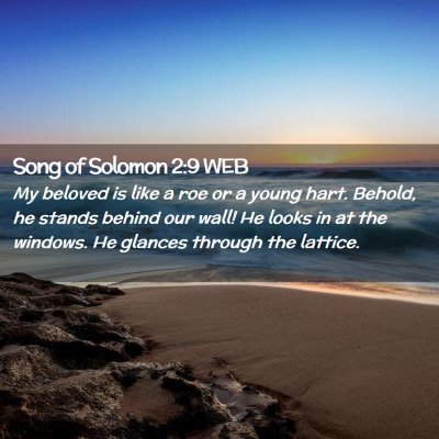 Picture 02 - Song of Solomon 2:9 WEB - My beloved is like a roe or a young hart. Behold, - Bible Verse Picture