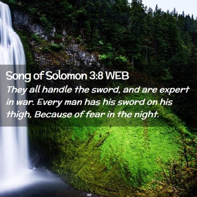 Picture 02 - Song of Solomon 3:8 WEB - They all handle the sword, and are expert in war. - Bible Verse Picture