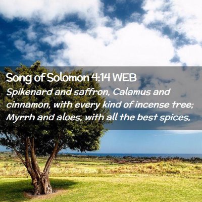Picture 02 - Song of Solomon 4:14 WEB - Spikenard and saffron, Calamus and cinnamon, with - Bible Verse Picture