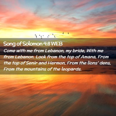 Picture 02 - Song of Solomon 4:8 WEB - Come with me from Lebanon, my bride, With me from - Bible Verse Picture