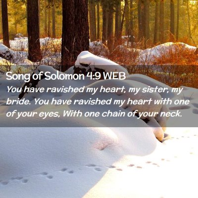 Picture 02 - Song of Solomon 4:9 WEB - You have ravished my heart, my sister, my bride. - Bible Verse Picture
