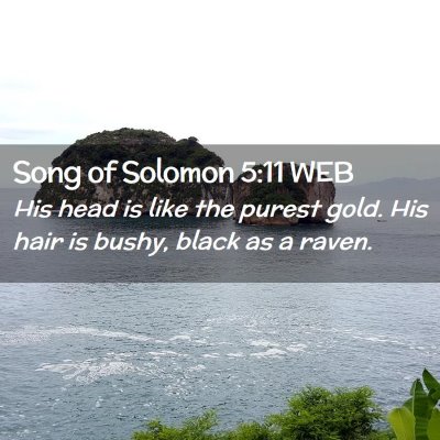 Picture 02 - Song of Solomon 5:11 WEB - His head is like the purest gold. His hair is - Bible Verse Picture