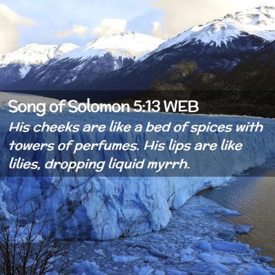 Picture 02 - Song of Solomon 5:13 WEB - His cheeks are like a bed of spices with towers - Bible Verse Picture