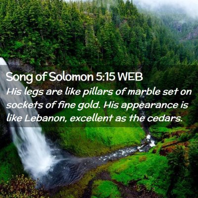 Picture 02 - Song of Solomon 5:15 WEB - His legs are like pillars of marble set on - Bible Verse Picture