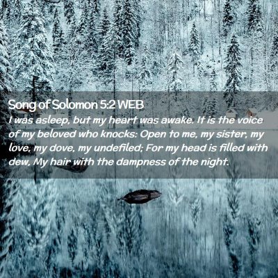 Picture 02 - Song of Solomon 5:2 WEB - I was asleep, but my heart was awake. It is the - Bible Verse Picture