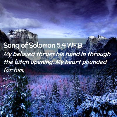 Picture 02 - Song of Solomon 5:4 WEB - My beloved thrust his hand in through the latch - Bible Verse Picture