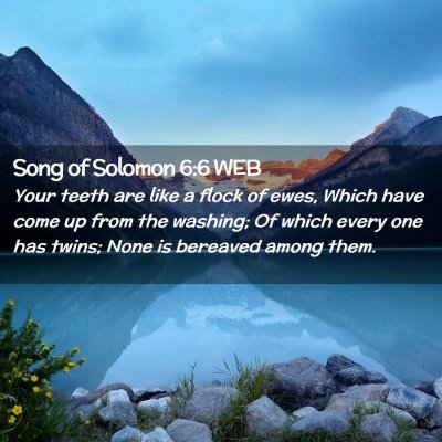 Picture 02 - Song of Solomon 6:6 WEB - Your teeth are like a flock of ewes, Which have - Bible Verse Picture
