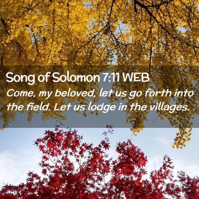Picture 02 - Song of Solomon 7:11 WEB - Come, my beloved, let us go forth into the field. - Bible Verse Picture