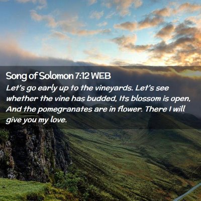 Picture 02 - Song of Solomon 7:12 WEB - Let's go early up to the vineyards. Let's see - Bible Verse Picture