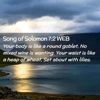 Picture 02 - Song of Solomon 7:2 WEB - Your body is like a round goblet, No mixed wine - Bible Verse Picture