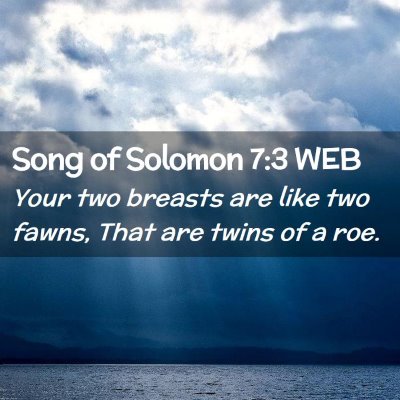 Picture 02 - Song of Solomon 7:3 WEB - Your two breasts are like two fawns, That are - Bible Verse Picture
