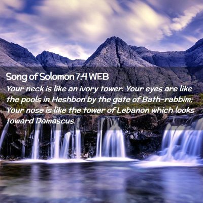 Picture 02 - Song of Solomon 7:4 WEB - Your neck is like an ivory tower. Your eyes are - Bible Verse Picture