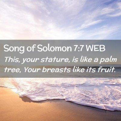 Picture 02 - Song of Solomon 7:7 WEB - This, your stature, is like a palm tree, Your - Bible Verse Picture