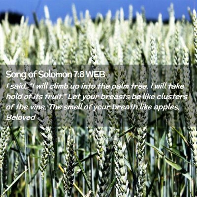 Picture 02 - Song of Solomon 7:8 WEB - I said, 