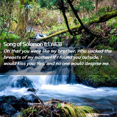 Picture 02 - Song of Solomon 8:1 WEB - Oh that you were like my brother, Who sucked the - Bible Verse Picture