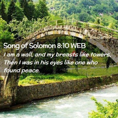 Picture 02 - Song of Solomon 8:10 WEB - I am a wall, and my breasts like towers, Then I - Bible Verse Picture