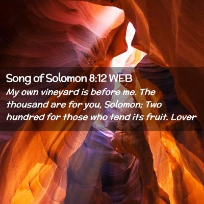 Picture 02 - Song of Solomon 8:12 WEB - My own vineyard is before me. The thousand are - Bible Verse Picture