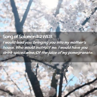 Picture 02 - Song of Solomon 8:2 WEB - I would lead you, bringing you into my mother's - Bible Verse Picture