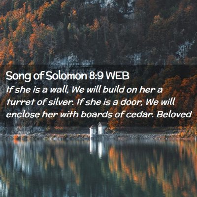 Picture 02 - Song of Solomon 8:9 WEB - If she is a wall, We will build on her a turret - Bible Verse Picture