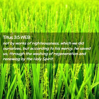 Picture 02 - Titus 3:5 WEB - not by works of righteousness, which we did - Bible Verse Picture