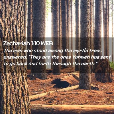 Picture 02 - Zechariah 1:10 WEB - The man who stood among the myrtle trees - Bible Verse Picture