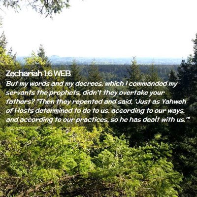 Picture 02 - Zechariah 1:6 WEB - But my words and my decrees, which I commanded my - Bible Verse Picture