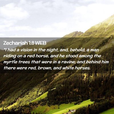 Picture 02 - Zechariah 1:8 WEB - 