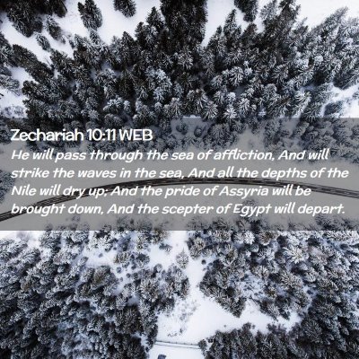 Picture 02 - Zechariah 10:11 WEB - He will pass through the sea of affliction, And - Bible Verse Picture