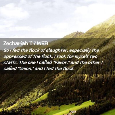 Picture 02 - Zechariah 11:7 WEB - So I fed the flock of slaughter, especially the - Bible Verse Picture