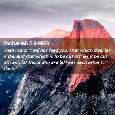 Picture 02 - Zechariah 11:9 WEB - Then I said, 