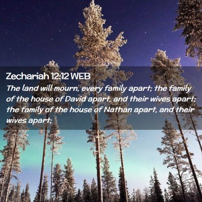 Picture 02 - Zechariah 12:12 WEB - The land will mourn, every family apart; the - Bible Verse Picture