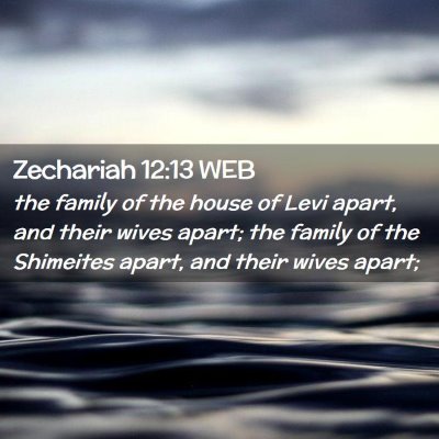 Picture 02 - Zechariah 12:13 WEB - the family of the house of Levi apart, and their - Bible Verse Picture