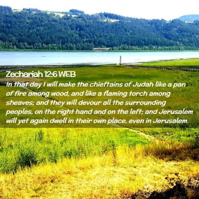 Picture 02 - Zechariah 12:6 WEB - In that day I will make the chieftains of Judah - Bible Verse Picture