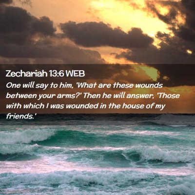 Picture 02 - Zechariah 13:6 WEB - One will say to him, 'What are these wounds - Bible Verse Picture